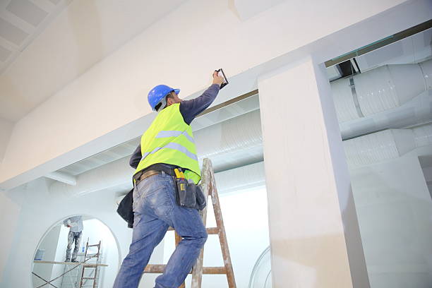 Best Mold Documentation for Insurance Claims  in Shpee Neck, MA